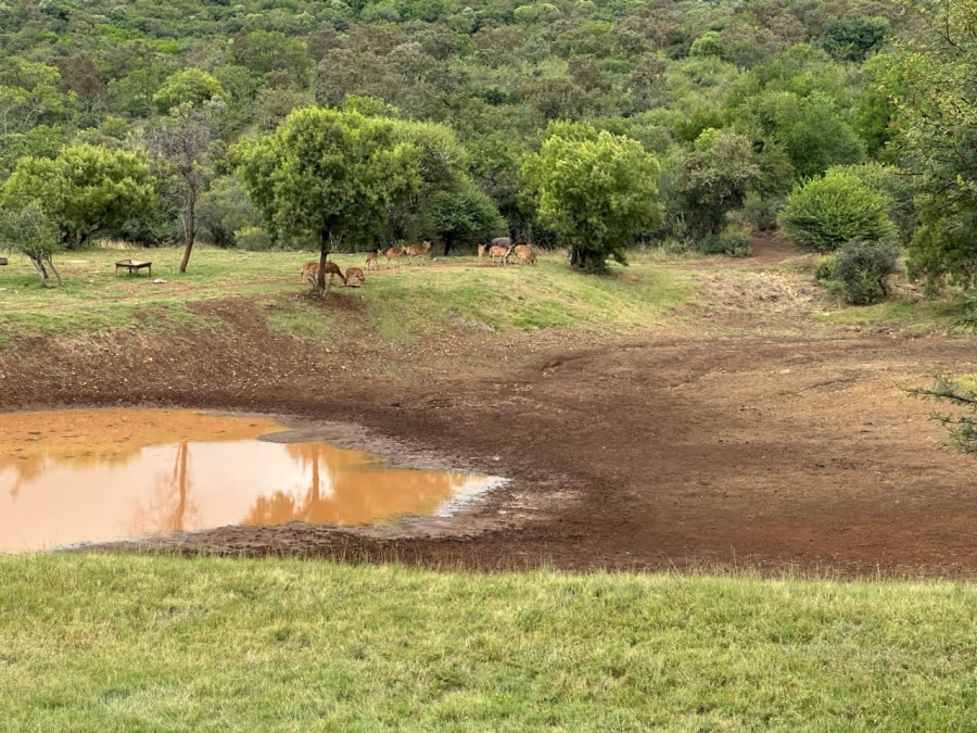 Commercial Property for Sale in Swartruggens North West